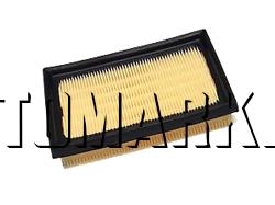 Air Cleaner 21060