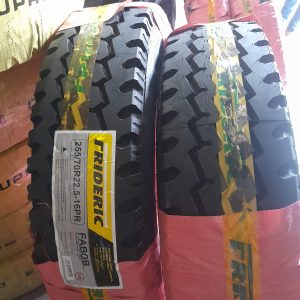 255/70R22.5 Frideric All Position Truck Tyre from China
