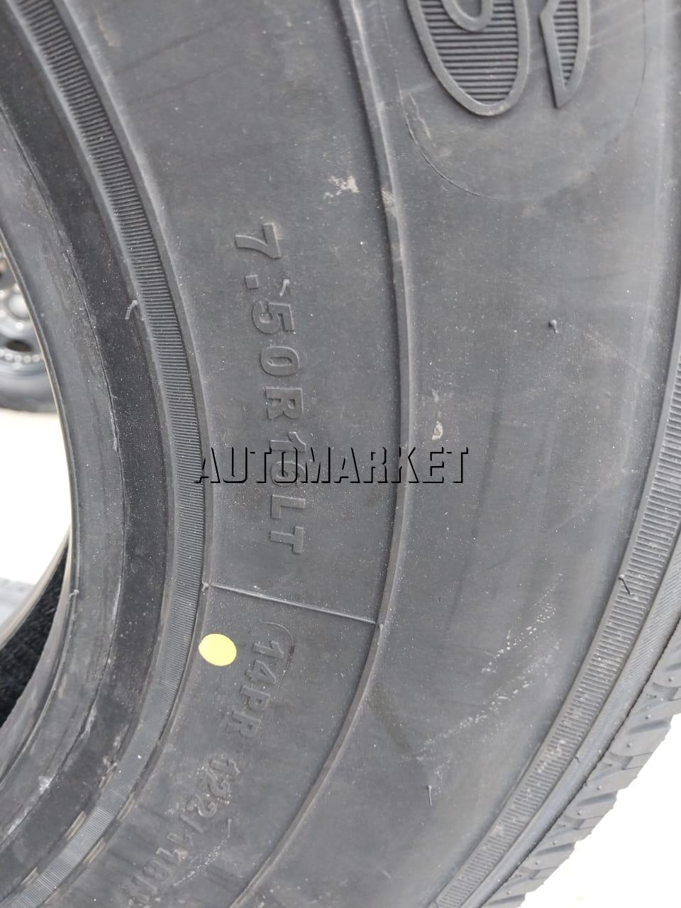 7.50R16LT Sailun Truck Tyre