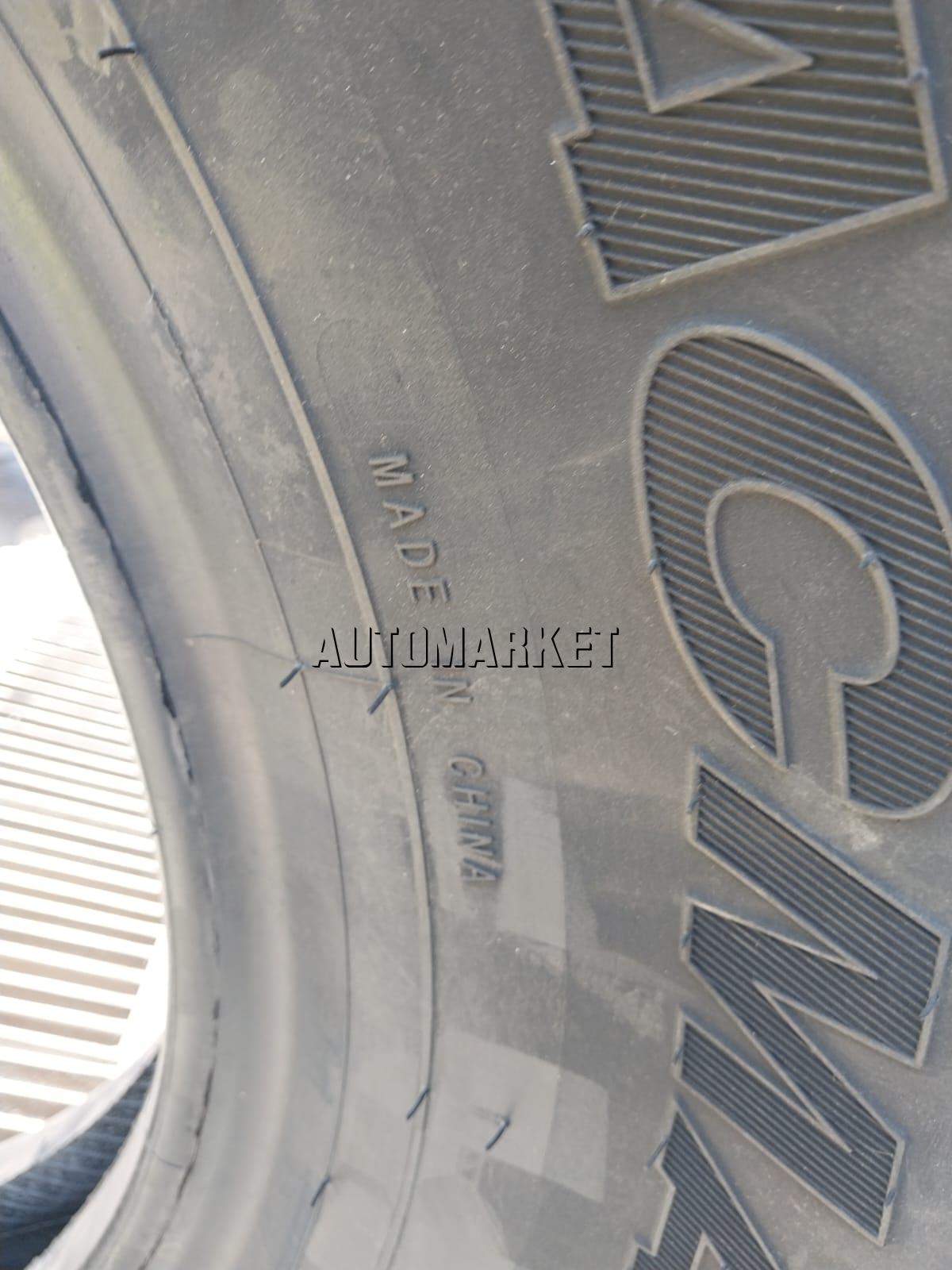 12.00R24 Trackmax (Diff) Truck Tyre from China