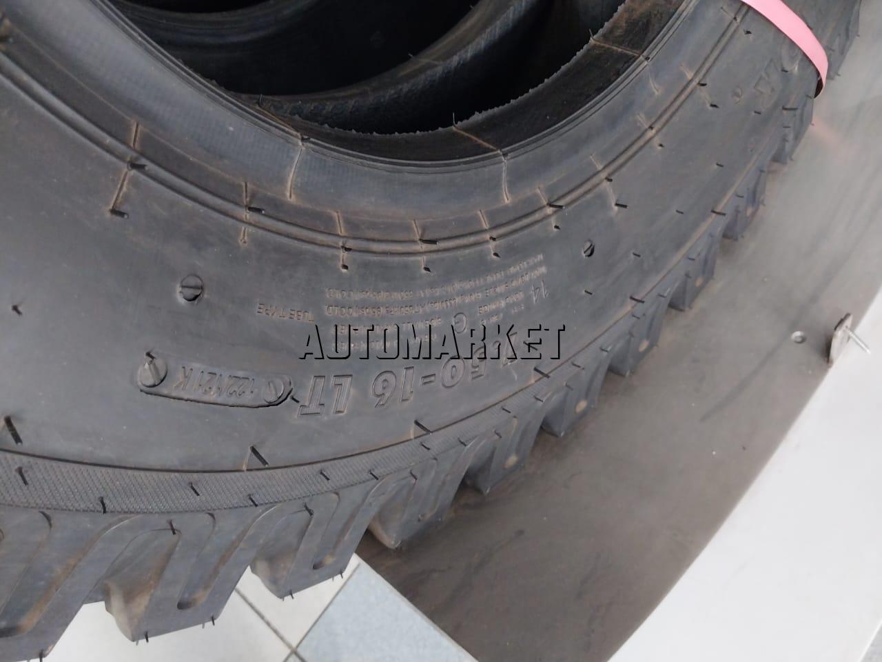 7.50-16LT Apollo Truck Tyre from India