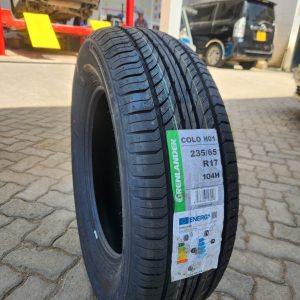 235/65R17 Grenlander Tyre (China)