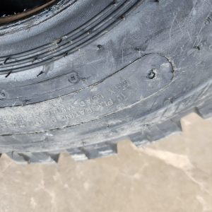 10.0/80-12 Forerunner IMP Implement Tyre 10PR – China