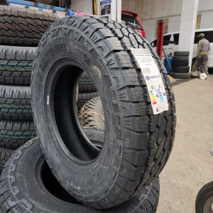 245/70R17 Bridgestone Dueler All-Terrain A/T002 111T XL