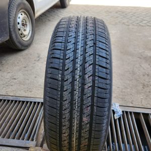 225/55R19 Bridgestone Ecopia Passenger Car Tyre